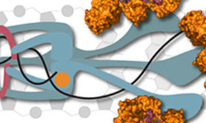 Molecular biology part 1 dna replication and repair 378x225