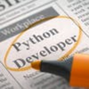 Python developer