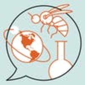 Mooc 1st steps coursera 1200x1200