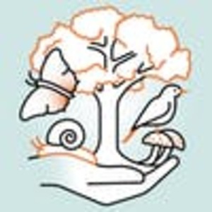 Mooc biodiversity global change coursera 1200x1200
