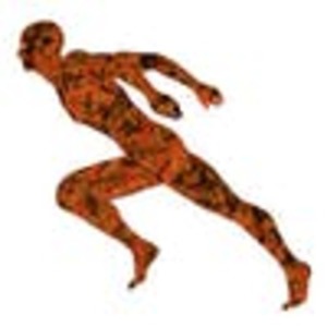 Run 2087056  480